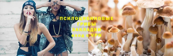 mix Алексеевка