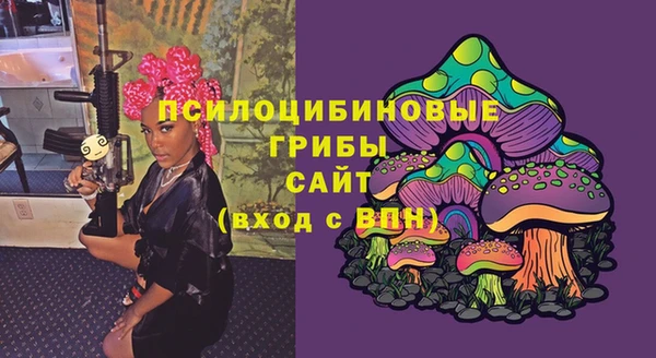 спайс Алексин